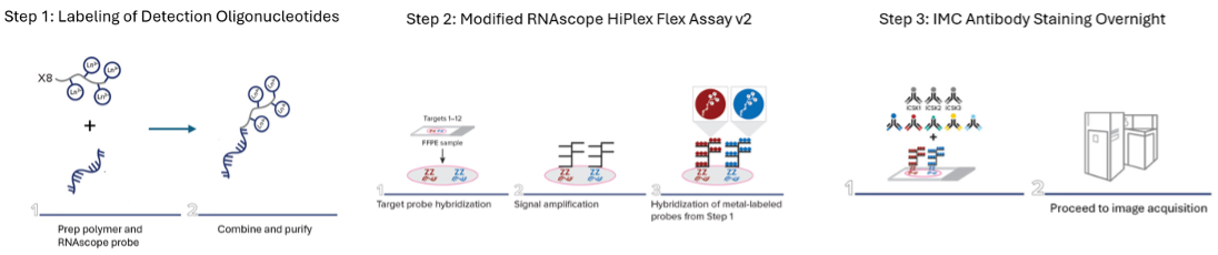 Three step IMC workflow