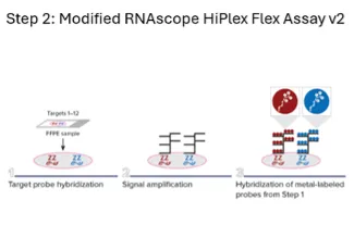 IMC Workflow, Step 2