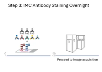 IMC Workflow, Step 3