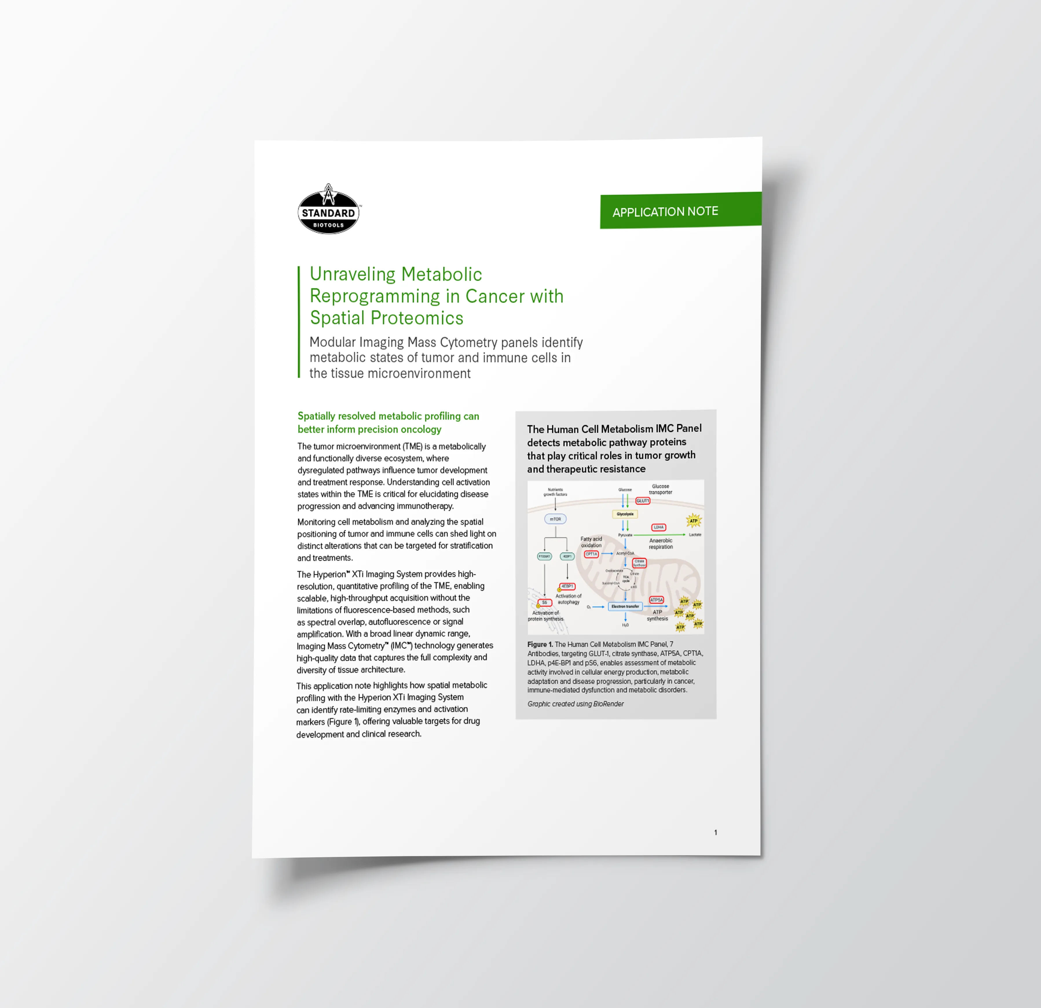 app note preview
