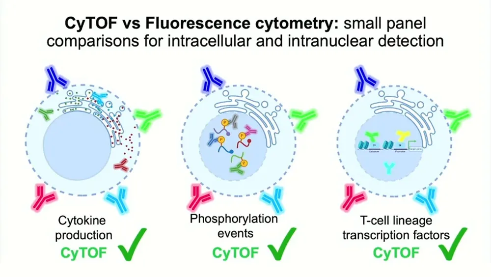 CyTOF vs Fluorescence cytometry