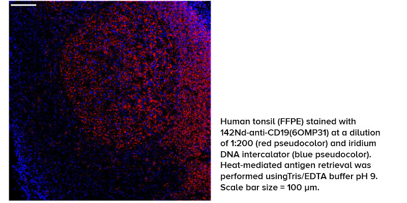 Imaging Cytometry Consumables - Standard BioTools