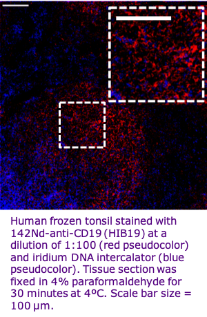 Imaging Cytometry Consumables - Standard BioTools