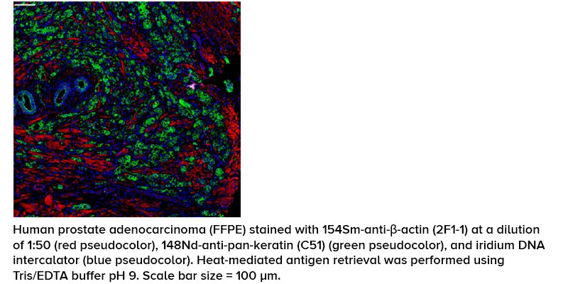 Imaging Cytometry Consumables - Standard BioTools