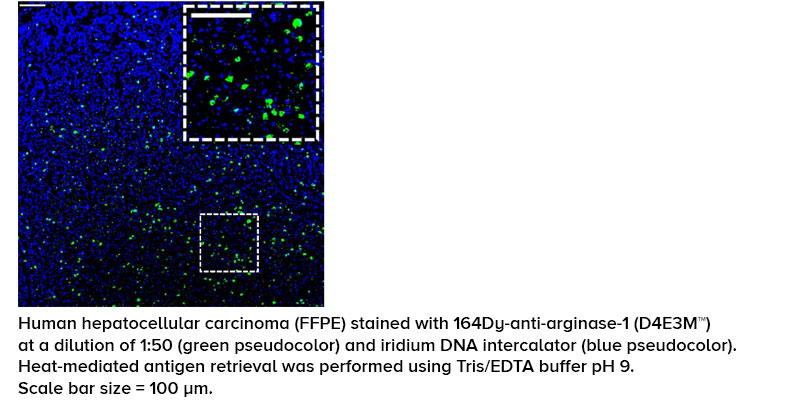 Imaging Cytometry Consumables - Standard BioTools