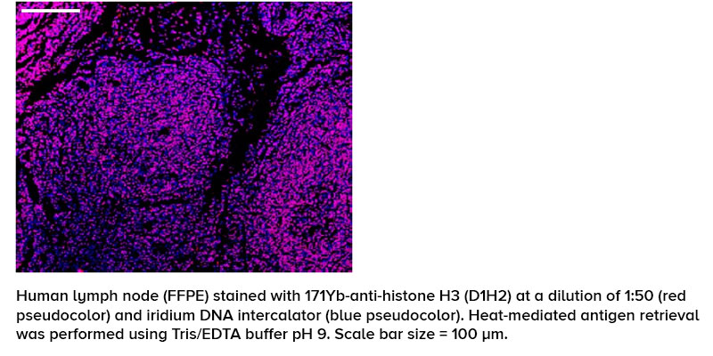 Imaging Cytometry Consumables - Standard BioTools